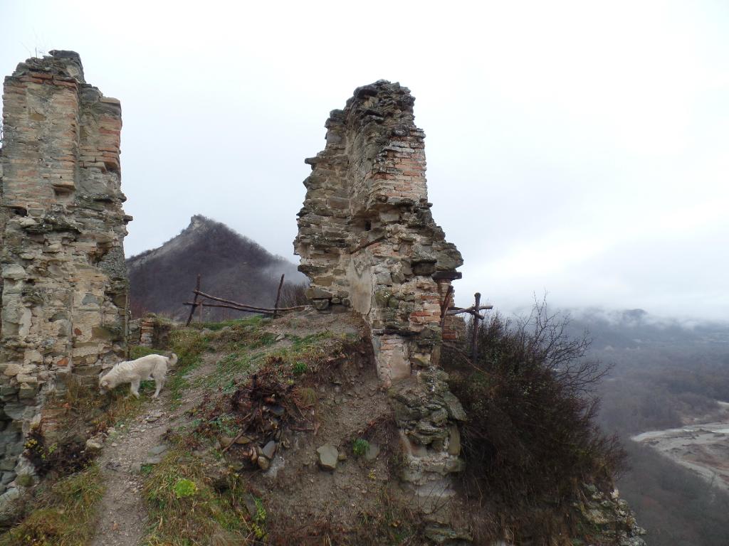 What’s up in Kakheti in winter? geotv.ge